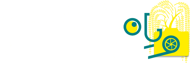دبیرخانه دیجیتال اولین جشنواره عکس ویان